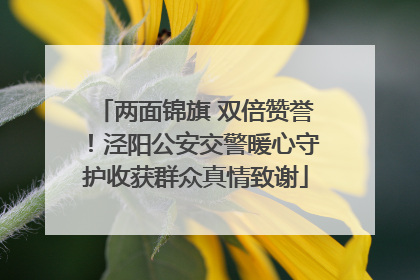 两面锦旗 双倍赞誉！泾阳公安交警暖心守护收获群众真情致谢