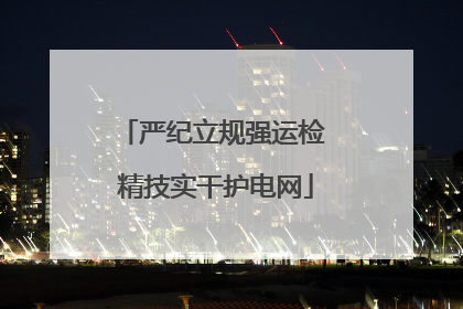严纪立规强运检 精技实干护电网