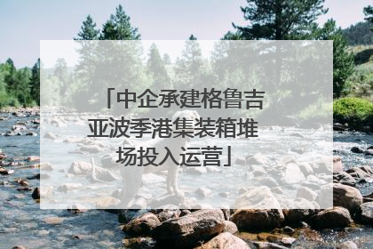 中企承建格鲁吉亚波季港集装箱堆场投入运营