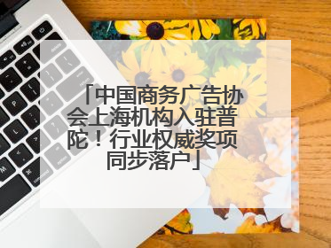 中国商务广告协会上海机构入驻普陀！行业权威奖项同步落户