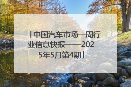 中国汽车市场一周行业信息快报——2025年5月第4期