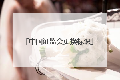 中国证监会更换标识