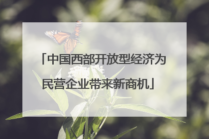 中国西部开放型经济为民营企业带来新商机