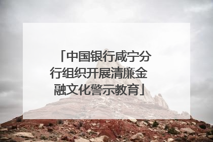 中国银行咸宁分行组织开展清廉金融文化警示教育