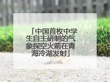 中国首枚中学生自主研制的气象探空火箭在青海冷湖发射