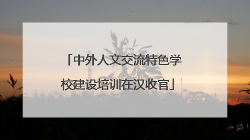 中外人文交流特色学校建设培训在汉收官