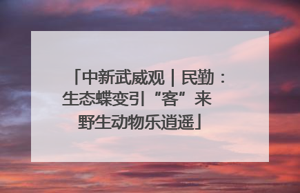 中新武威观｜民勤：生态蝶变引“客”来 野生动物乐逍遥