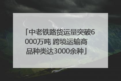中老铁路货运量突破6000万吨 跨境运输商品种类达3000余种