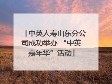 中英人寿山东分公司成功举办 “中英嘉年华”活动