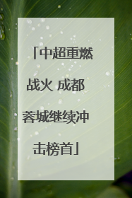 中超重燃战火 成都蓉城继续冲击榜首