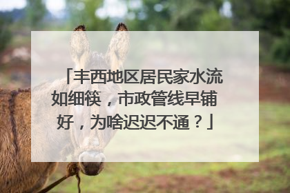 丰西地区居民家水流如细筷，市政管线早铺好，为啥迟迟不通？