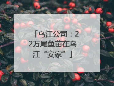 乌江公司：22万尾鱼苗在乌江“安家”