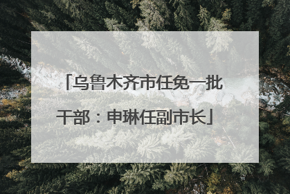 乌鲁木齐市任免一批干部：申琳任副市长