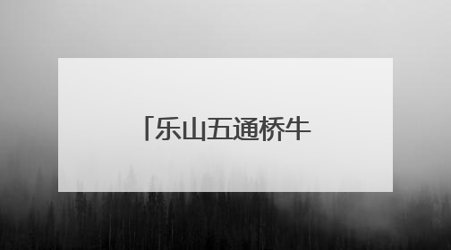 乐山五通桥牛华镇二码头小学：适应与成长，助力新启航