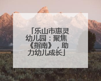 乐山市惠灵幼儿园：聚焦《指南》，助力幼儿成长