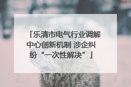 乐清市电气行业调解中心创新机制 涉企纠纷“一次性解决”
