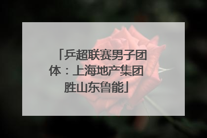 乒超联赛男子团体：上海地产集团胜山东鲁能