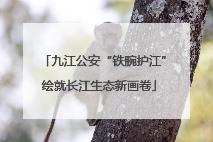 九江公安“铁腕护江”绘就长江生态新画卷