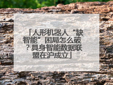 人形机器人“缺智能”困局怎么破？具身智能数据联盟在沪成立