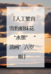 人工繁育雪豹姐妹花“水墨”“油画”六岁啦
