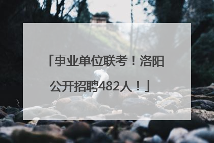 事业单位联考！洛阳公开招聘482人！