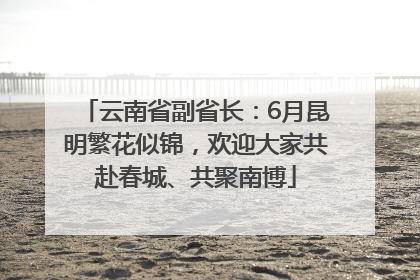 云南省副省长：6月昆明繁花似锦，欢迎大家共赴春城、共聚南博