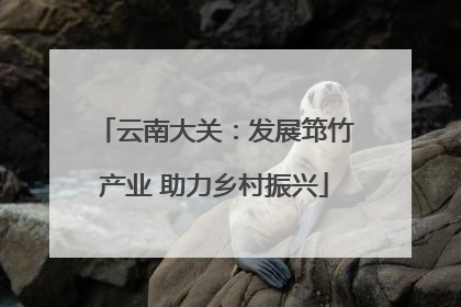 云南大关：发展筇竹产业 助力乡村振兴