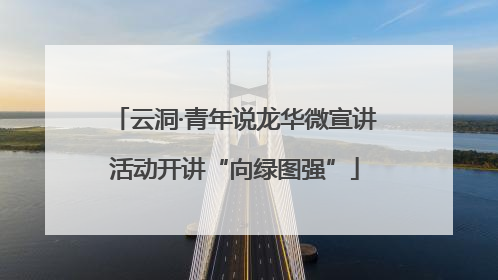 云洞·青年说龙华微宣讲活动开讲“向绿图强”