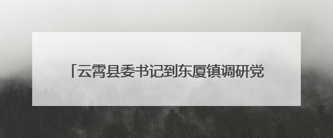 云霄县委书记到东厦镇调研党建引领乡村振兴等重点工作