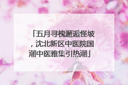 五月寻槐邂逅怪坡，沈北新区中医院国潮中医雅集引热潮