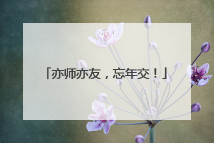 亦师亦友，忘年交！