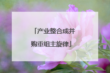 产业整合成并购重组主旋律