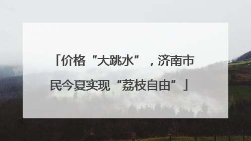 价格“大跳水”，济南市民今夏实现“荔枝自由”
