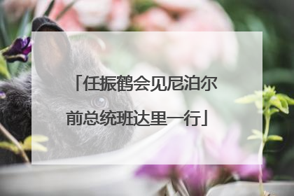任振鹤会见尼泊尔前总统班达里一行