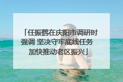 任振鹤在庆阳市调研时强调 坚决守牢底线任务 加快推动老区振兴