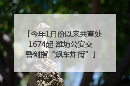今年1月份以来共查处1674起 潍坊公安交警剑指“飙车炸街”