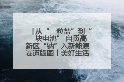从“一粒盐”到“一块电池” 自贡高新区“钠”入新能源赛道版图丨美好生活有“盐”味