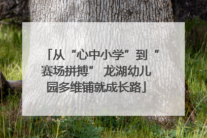 从“心中小学”到“赛场拼搏” 龙湖幼儿园多维铺就成长路