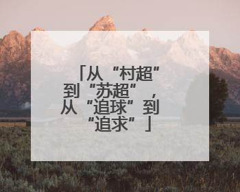 从“村超”到“苏超”，从“追球”到“追求”