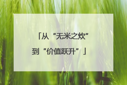 从“无米之炊”到“价值跃升”