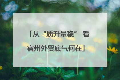 从“质升量稳” 看宿州外贸底气何在