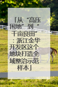 从“高压困地”到“千亩良田”：浙江金华开发区这个地块打造全域整治示范样本
