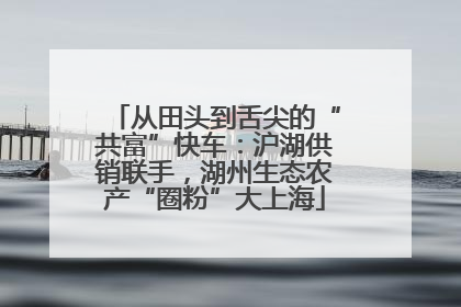 从田头到舌尖的“共富”快车：沪湖供销联手，湖州生态农产“圈粉”大上海