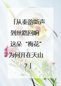 从秦韵新声到丝路回响 这朵“梅花”为何开在天山？