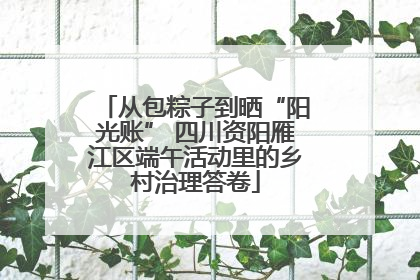从包粽子到晒“阳光账” 四川资阳雁江区端午活动里的乡村治理答卷