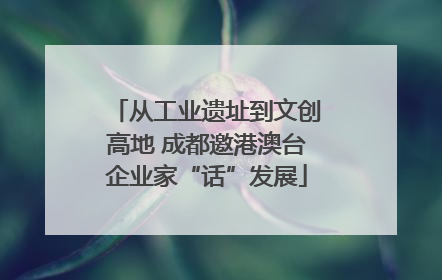 从工业遗址到文创高地 成都邀港澳台企业家“话”发展