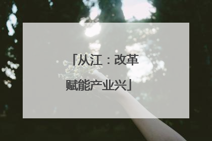 从江：改革赋能产业兴