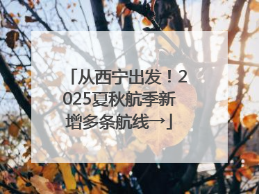 从西宁出发！2025夏秋航季新增多条航线→