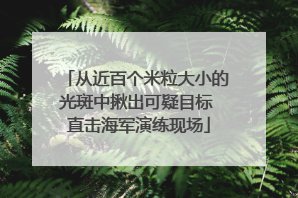 从近百个米粒大小的光斑中揪出可疑目标 直击海军演练现场