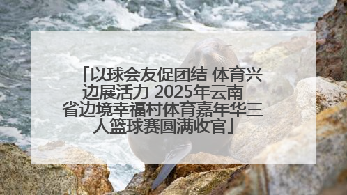 以球会友促团结 体育兴边展活力 2025年云南省边境幸福村体育嘉年华三人篮球赛圆满收官